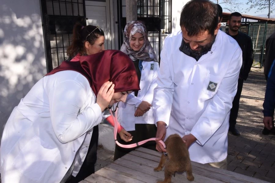 OSMANİYE BELEDİYESİ HAYVAN BARINAĞI, ÜNİVERSİTE ÖĞRENCİLERİNİ AĞIRLADI