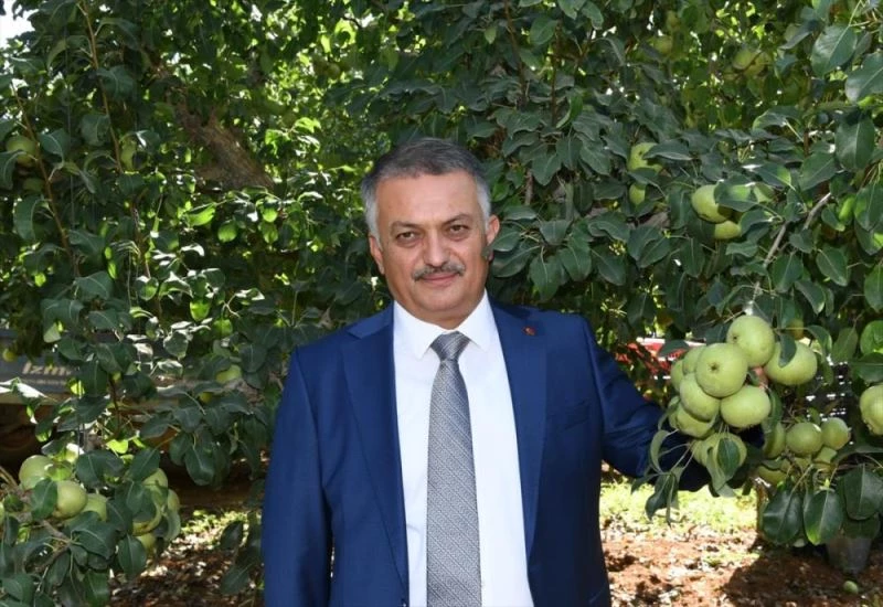 Vali Ersin Yazıcı, Karyağdı Armudu