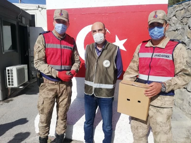 Kaçak avlanılan Çobanaldatan kuşuna el konuldu
