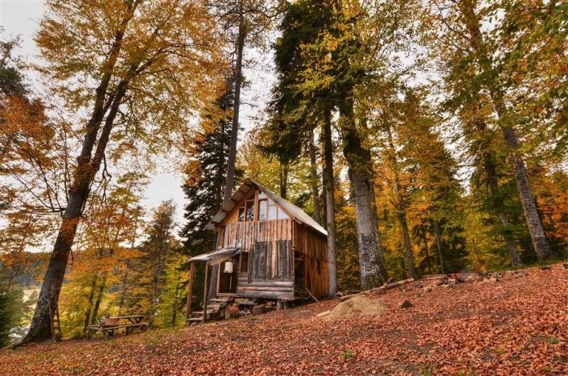 Düzce’nin yaylaları doğasever ve fotoğraf tutkunlarını bekliyor
