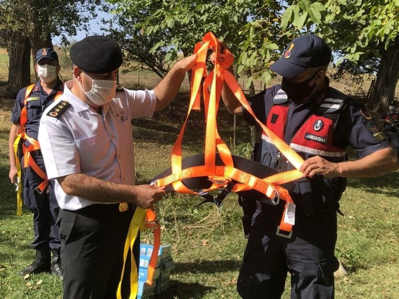 3 yılda 20 kişi ağaçtan düşerek ölünce jandarma önlem projesi geliştirdi
