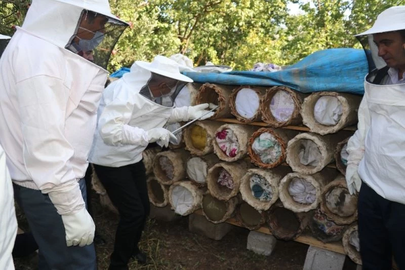 Van’da 6. Geleneksel Organik Karakovan Bal Kesimi etkinliği
