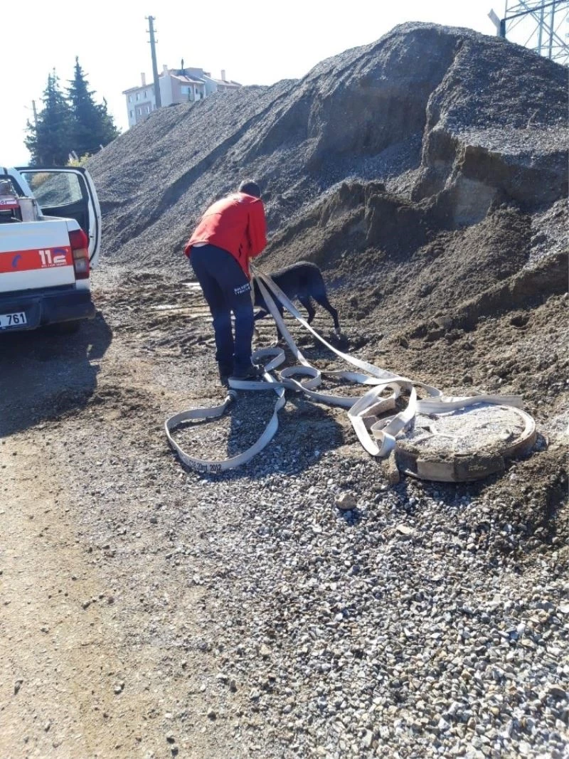 Foseptik çukuruna düşen köpeği itfaiye kurtardı
