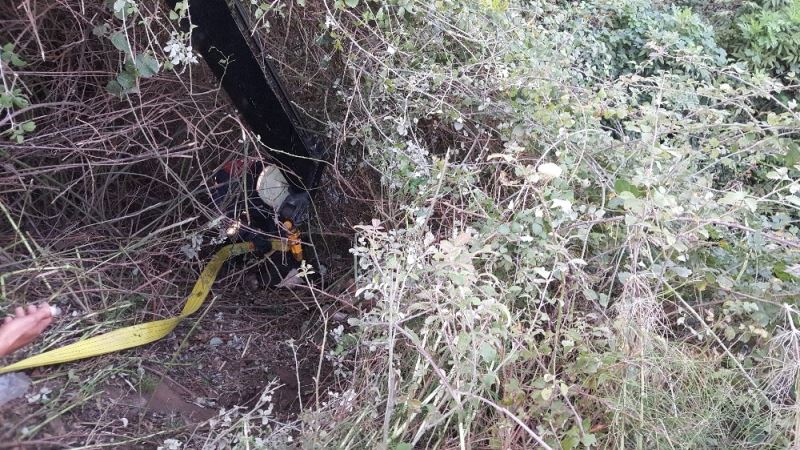 Büyükbaş hayvanı dolandığı otlardan kurtarmak kolay olmadı
