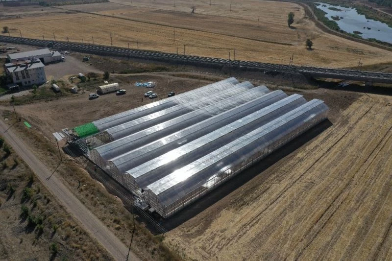 Serada yetiştireceği maydanozu internetten satacak
