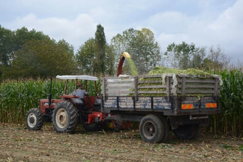 Sinoplu çiftçiler silaj yapımına başladı
