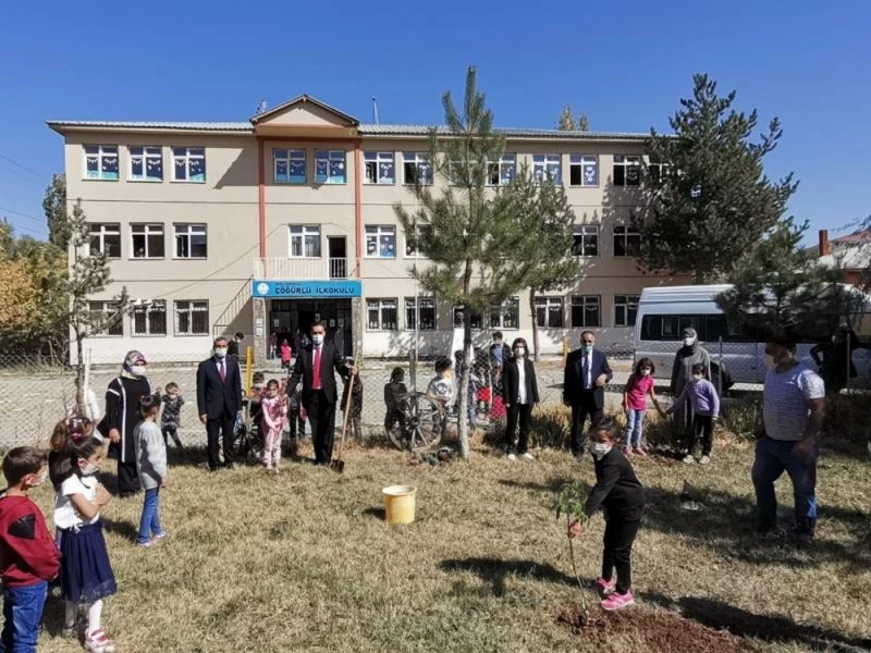 Köy okullarında 300 adet meşe palamudu ile 50 adet ceviz fidanı dikildi
