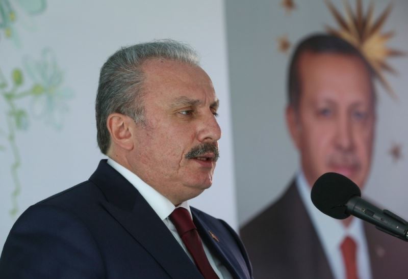 TBMM Başkanı Şentop: “Tabiata zarar vererek kirli emellerine ulaşacaklarını zanneden gafiller şunu iyi bilsinler: Türkiye Cumhuriyeti Devleti büyük ve güçlü bir devlettir”
