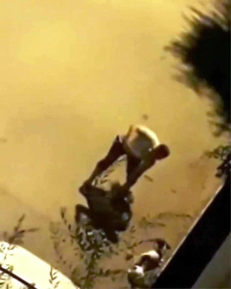 Elindeki boruyla köpeği acımasızca dövdü
