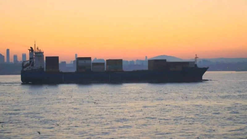 (Özel) Yunusların dev gemilerle oyunu
