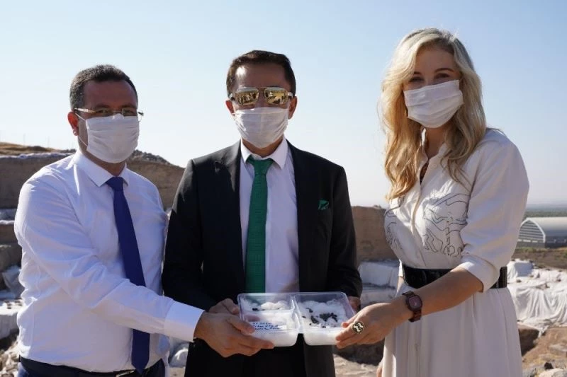 Sanayi ve Teknoloji Bakanlığı himayesinde “Kilis Yağlık Zeytini” tanıtım günü
