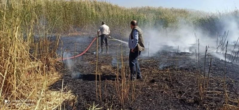 Birçok kuş türünün yaşadığı sulak alanda yangın
