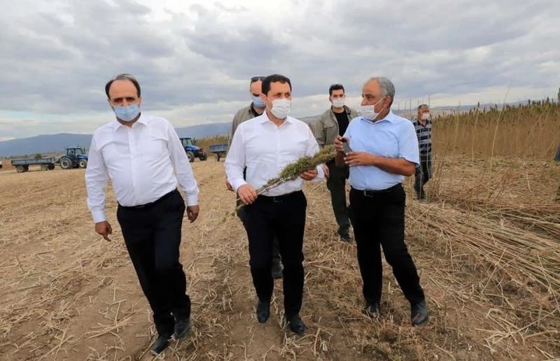 Vali Masatlı, Gökhöyük Tarım İşletmesinde incelemelerde bulundu
