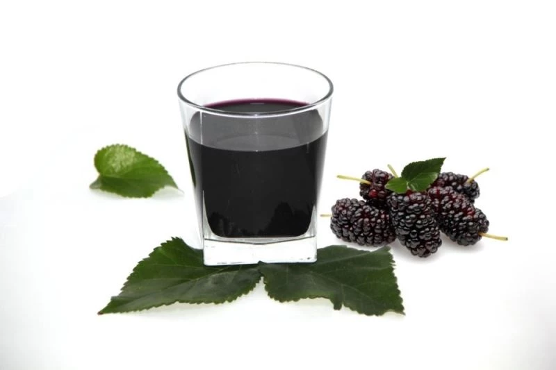 GTB, Antep urmu dut şurubunu tescilledi
