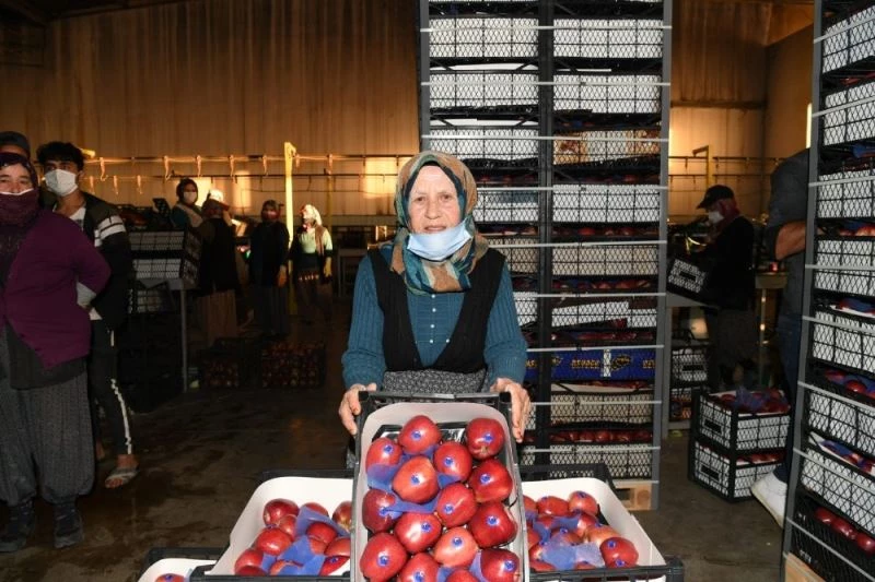 78 yaşındaki işçi çavuşu Şerife nine, pandemi döneminde çalışabilmek için validen izin istedi
