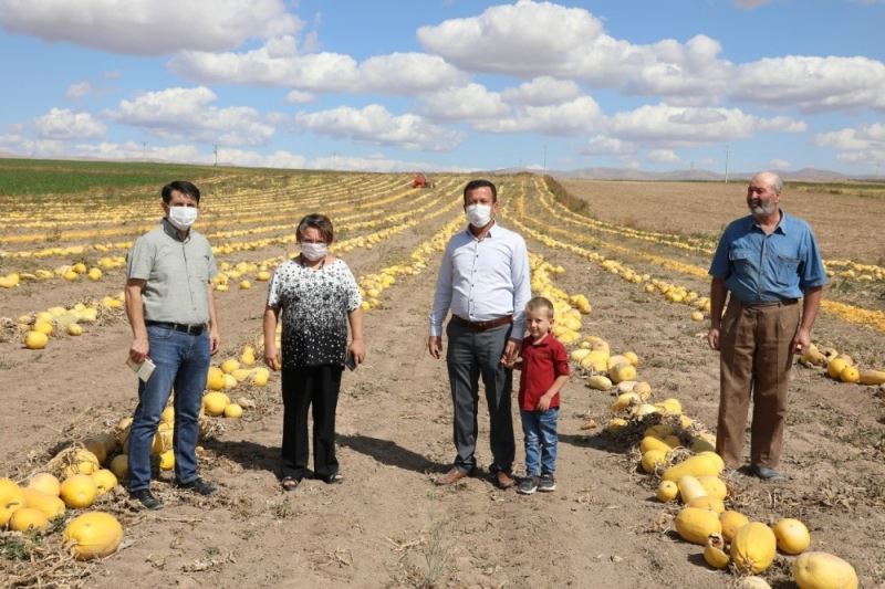 Eskişehir’de çerezlik kabak üretim alanı 30 bin dekara ulaştı
