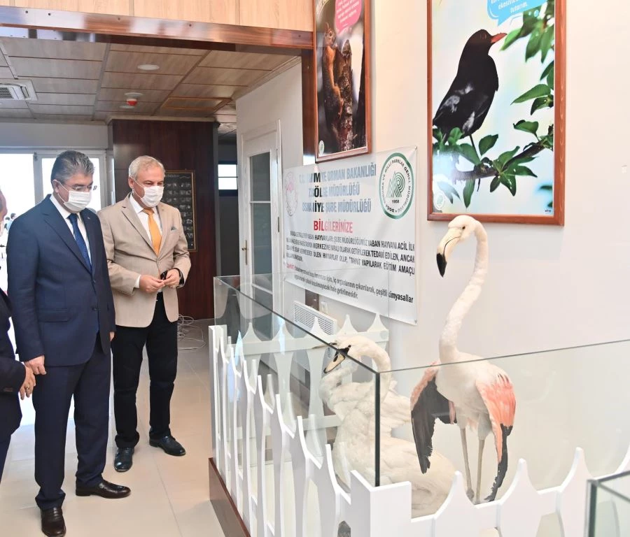 VALİ YILMAZ, ZORKUN YAYLASI YABAN HAYATI GELİŞTİRME SAHASINDA İNCELEMELERDE BULUNDU