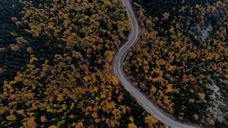 Uludağ’da hazan mevsimi
