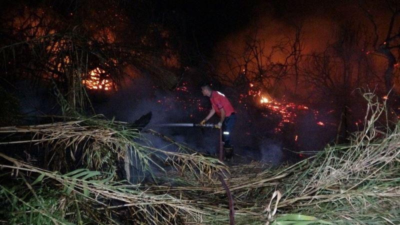 Mersin’de araştırma enstitüsü bahçesinde 3 ayrı noktada yangın çıktı
