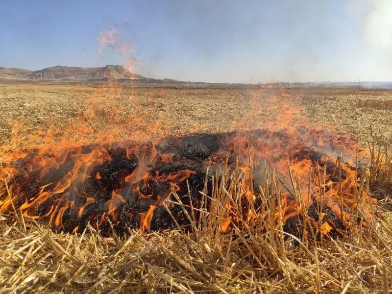 Tarladaki anızı yaktı, komşu tarladaki 150 boru kullanılamaz hale geldi

