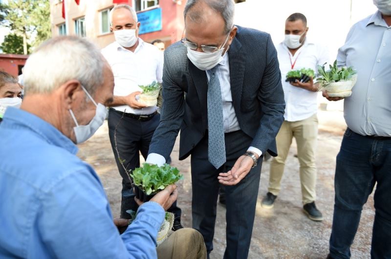 Tarsus Belediyesi Gen Bankasında ata tohumu sayısı 20 milyona ulaştı
