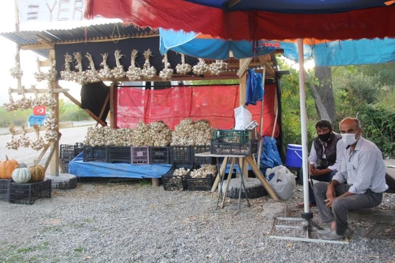 Pandemi dolayısıyla tüketimi artan Taşköprü sarımsağı, hırsızların hedefinde
