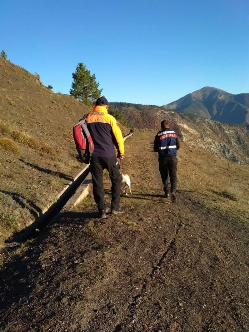 Artvin’de çam sakızı toplamak için ormana giden yaşlı adam ölü bulundu
