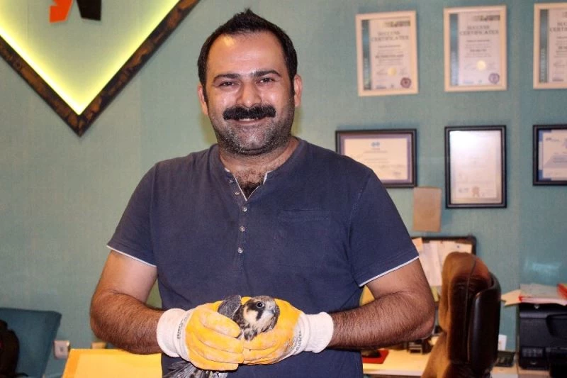 Açlıktan ölmek üzere olan şahine sahip çıktı
