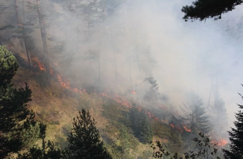 Kastamonu’da iki farklı noktada 3 gündür devam eden orman yangını söndürülemiyor
