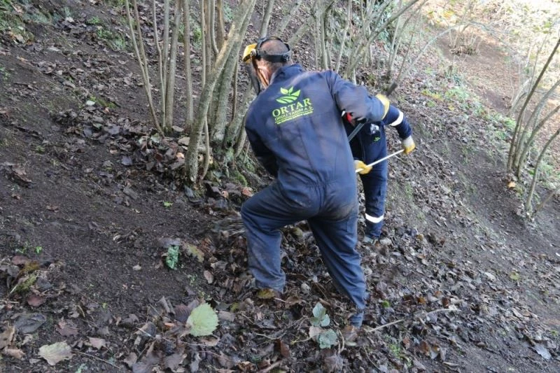 Fındıkta FINVER reformu
