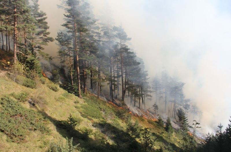 Kastamonu’daki orman yangınları 5’nci gününde kontrol altına alındı
