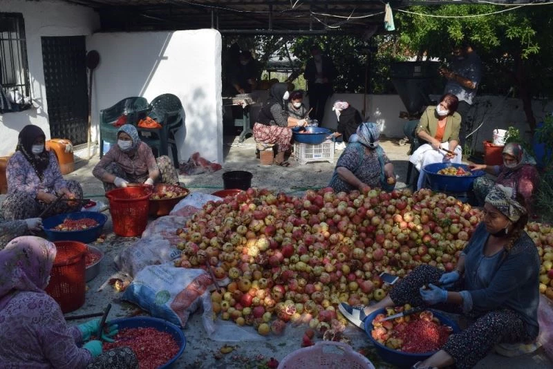 Aliağa’da nar ekşisi kazanları kaynamaya başladı
