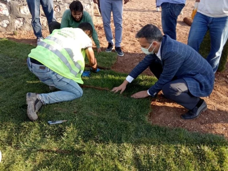 Yeşilyurt Belediyesi tarımsal üretim ve ar-ge sahasında 15 bin metrekare rulo çim üretildi
