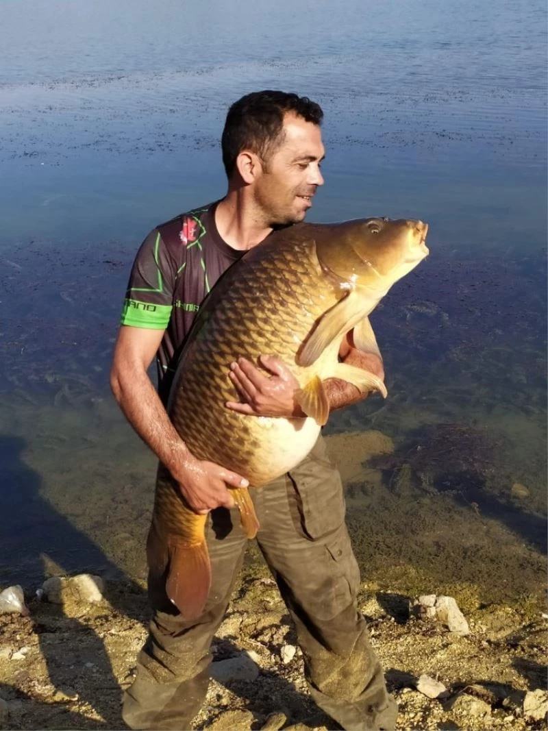 Tam 27,5 ağırlığındaki dev sazan balığı
