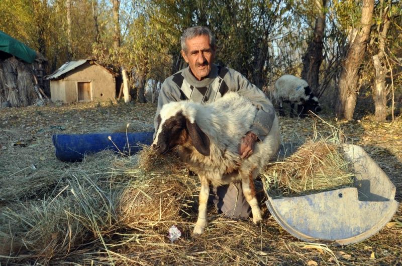 ‘Sarı Kız’ın sahibi Mehmet Emin Amca artık çok mutlu
