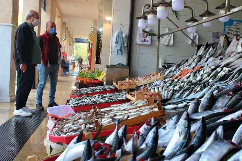 Palamuttaki bolluğun bitmesi, fiyatı ikiye katladı
