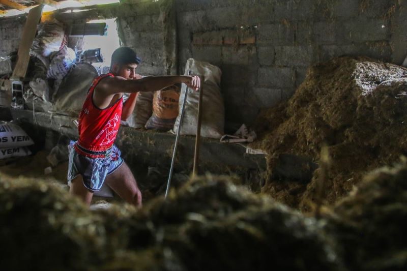 Muaythai sporcusu Mehmet Ali, dünya şampiyonluğu hayaliyle samanlıkta antrenman yapıyor