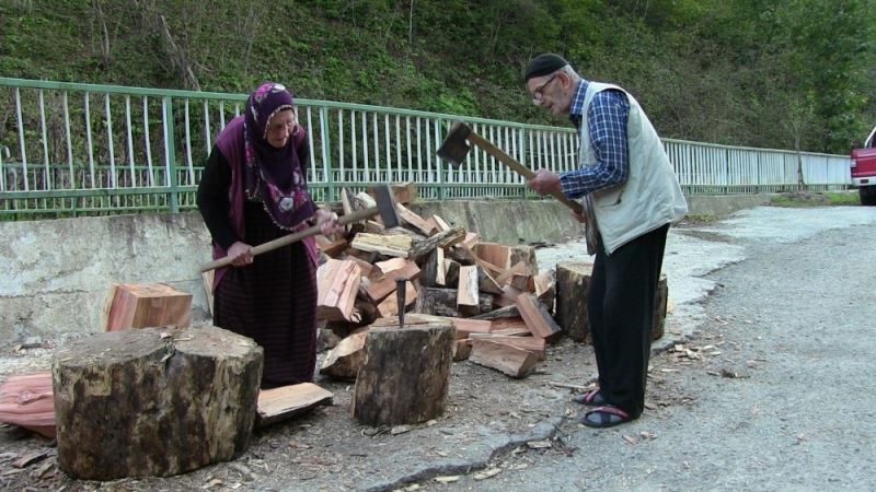 Yaşlı çift kışlık odun ihtiyaçlarını kendileri karşılıyor
