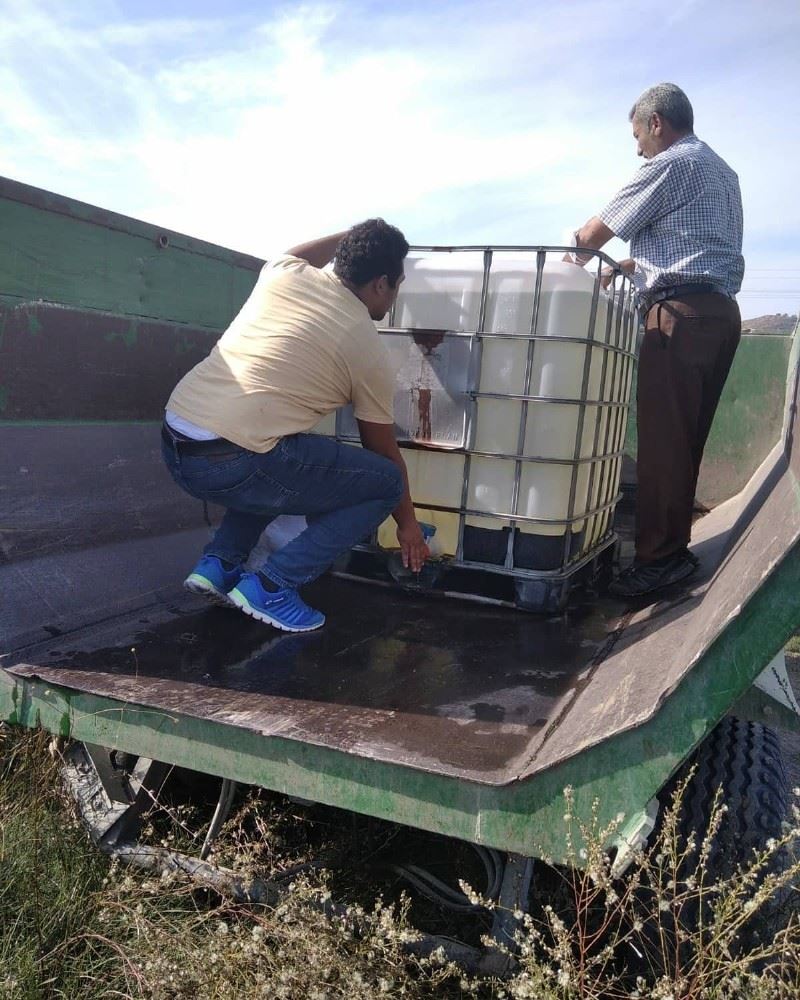 Sulama kanalından balık kurtarma operasyonu
