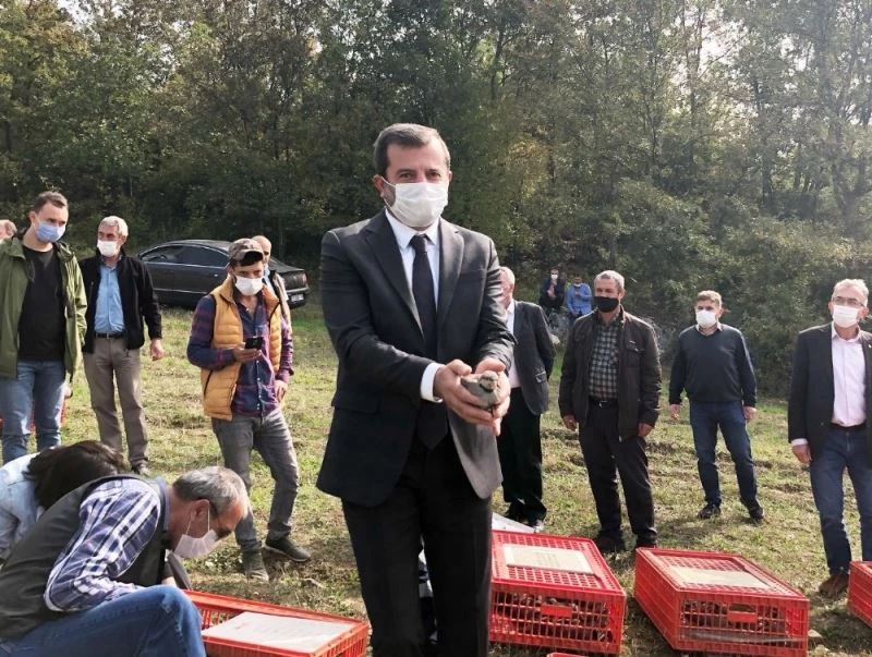 Gürsu’da keklik popülasyonu arttırılıyor
