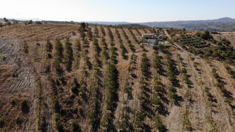 (Özel) “Kırsala göç” hevesi hem kendi hem de köylünün hayatını değiştirdi
