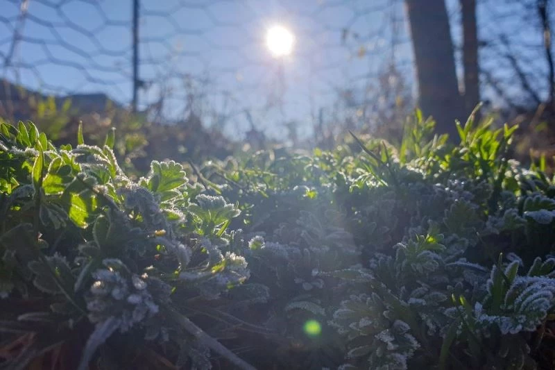 Doğu’da hava sıcaklığı mevsim normalleri üzerinde seyrediyor
