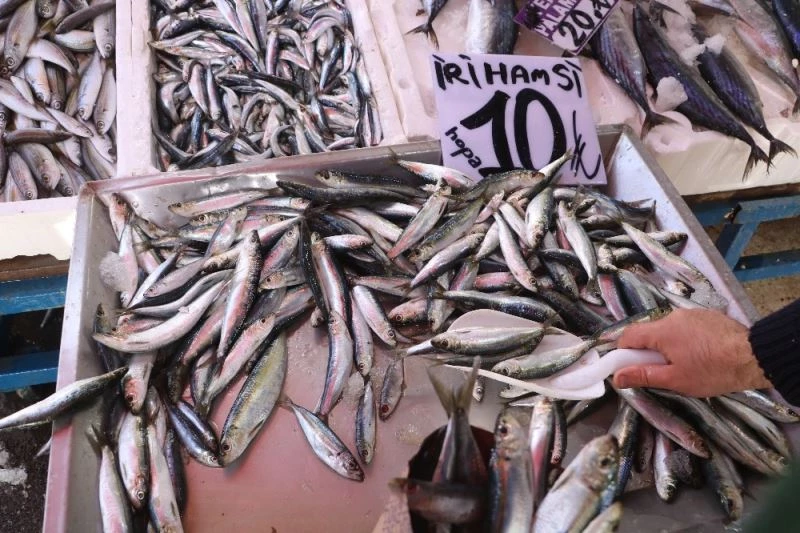 Bozkırda da hamsi fiyatı çakıldı
