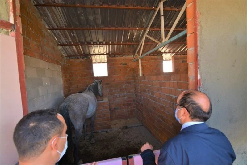 Kaplıcalara gelen engelli bireyler atlarla gezecek
