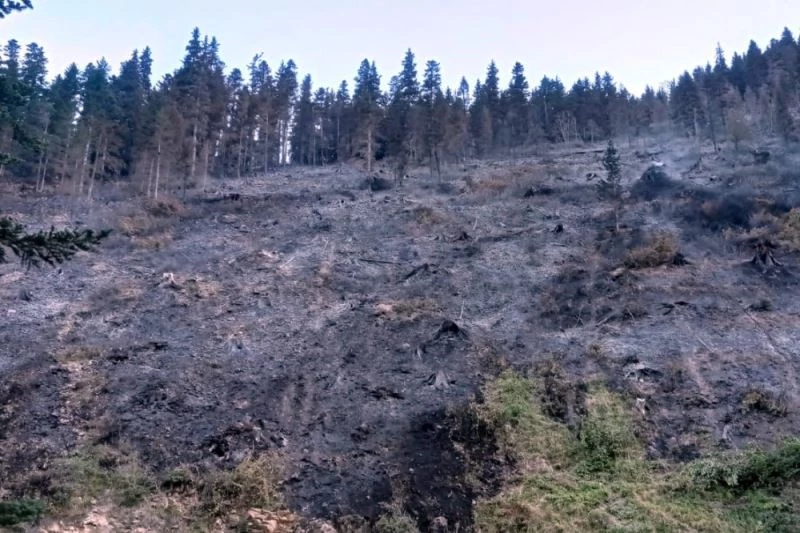 Kürtün’deki yangınlar kontrol altına alındı
