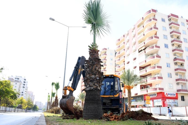 Forum Katlı Kavşağı Projesindeki 113 ağaç sökülerek yeni yerlerine dikiliyor
