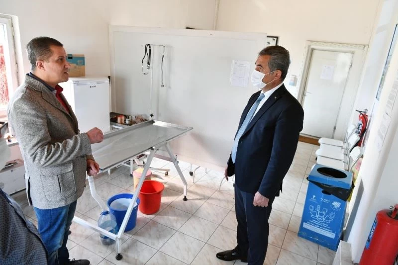 Sevimli Dostların Sağlığı Evcil hayvanlar Polikliniği Korumasında
