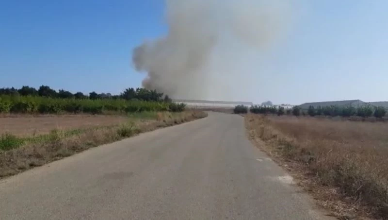 Antalya’da anız yangını sera ve zeytin ağaçlarına zarar verdi
