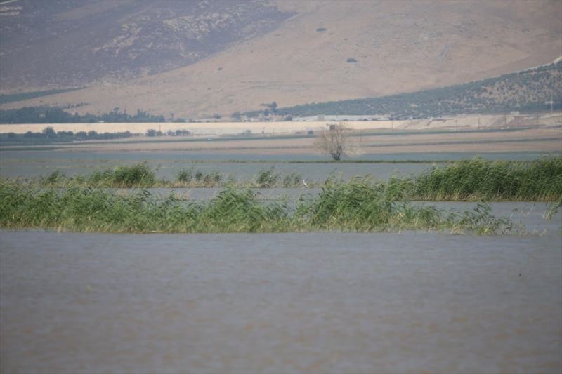 Reyhanlı Barajı, Amik Ovası