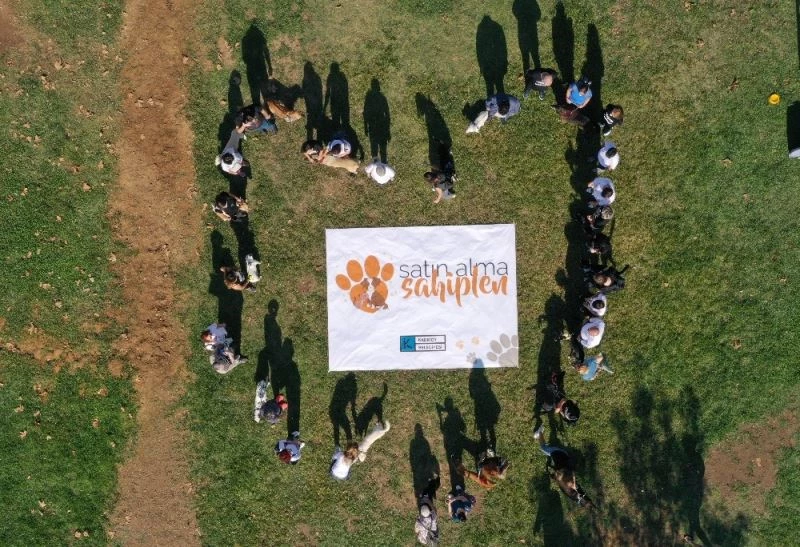 Hayatı değişen 20 köpekle “Satın Alma Sahiplen” mesajı verdiler
